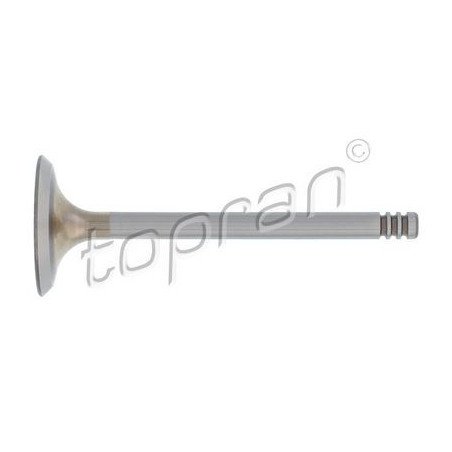 TOPRAN | 100 613
