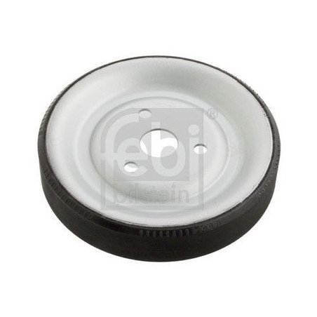 FEBI BILSTEIN | 102466