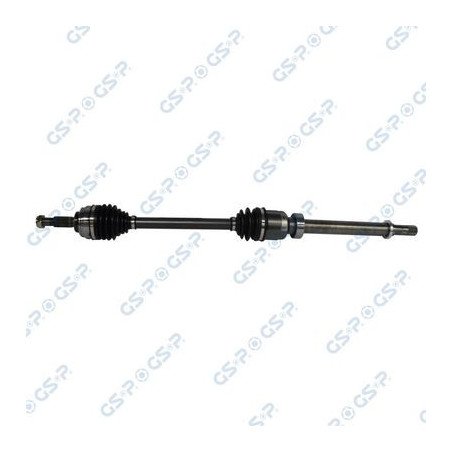 GSP | 250489