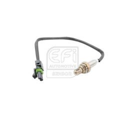 EFI AUTOMOTIVE | 301305