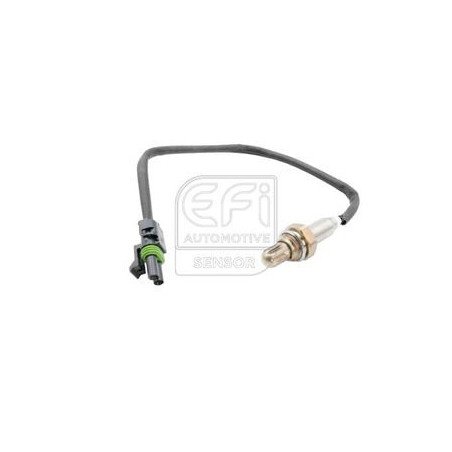 EFI AUTOMOTIVE | 301305