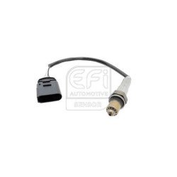 EFI AUTOMOTIVE | 301396