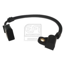 EFI AUTOMOTIVE | 303152