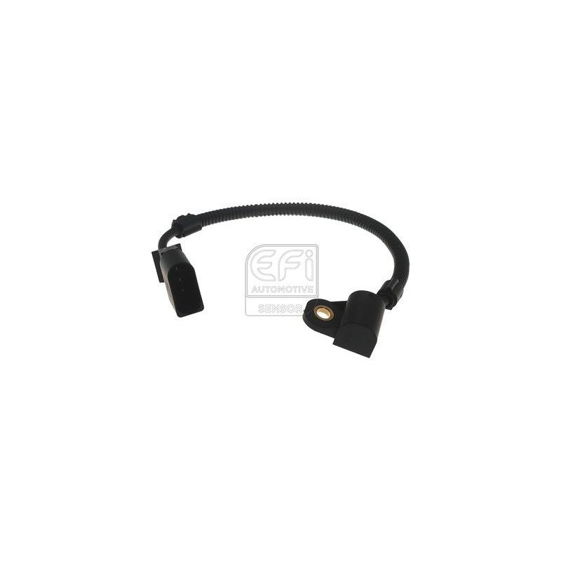 EFI AUTOMOTIVE | 303152