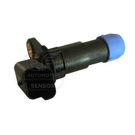 EFI AUTOMOTIVE | 303222