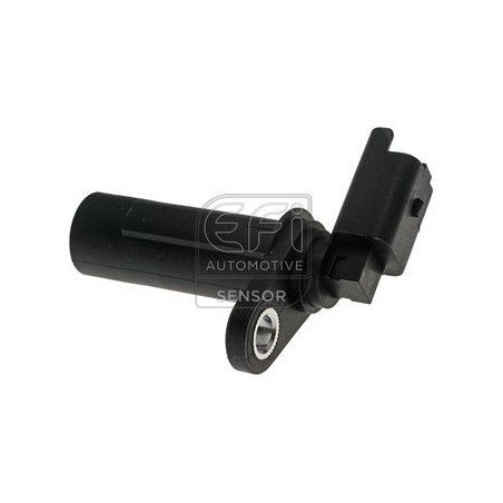 EFI AUTOMOTIVE | 303235