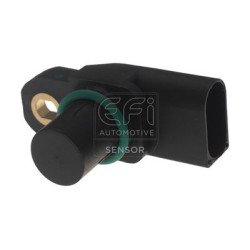 EFI AUTOMOTIVE | 303494