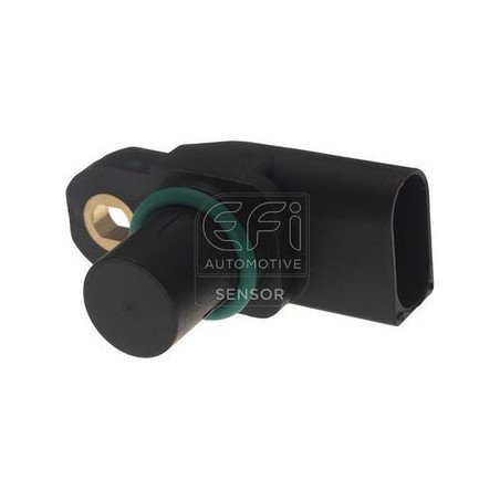 EFI AUTOMOTIVE | 303494