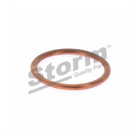 STORM QUALITY PARTS | F0647