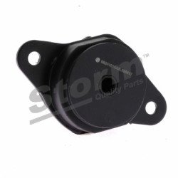 STORM QUALITY PARTS | F10506