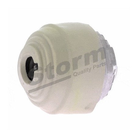 STORM QUALITY PARTS | F10848