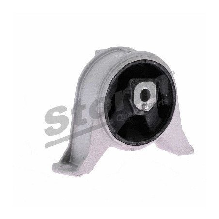 STORM QUALITY PARTS | F10877