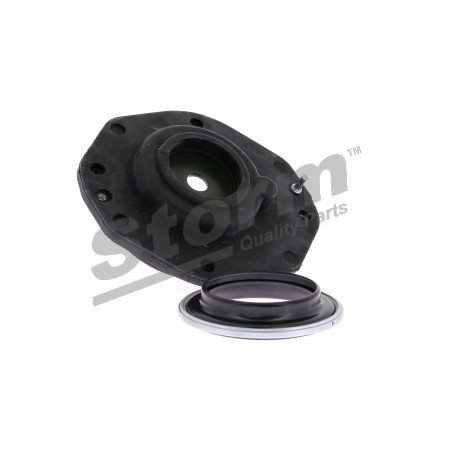 STORM QUALITY PARTS | F10881