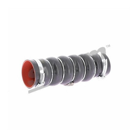 STORM QUALITY PARTS | F13938