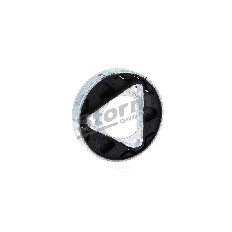 STORM QUALITY PARTS | F2481