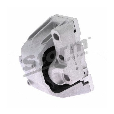 STORM QUALITY PARTS | F2571