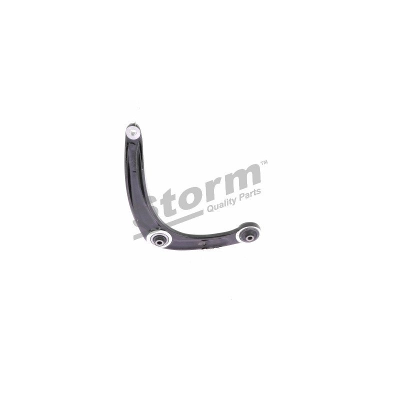 STORM QUALITY PARTS | 79351