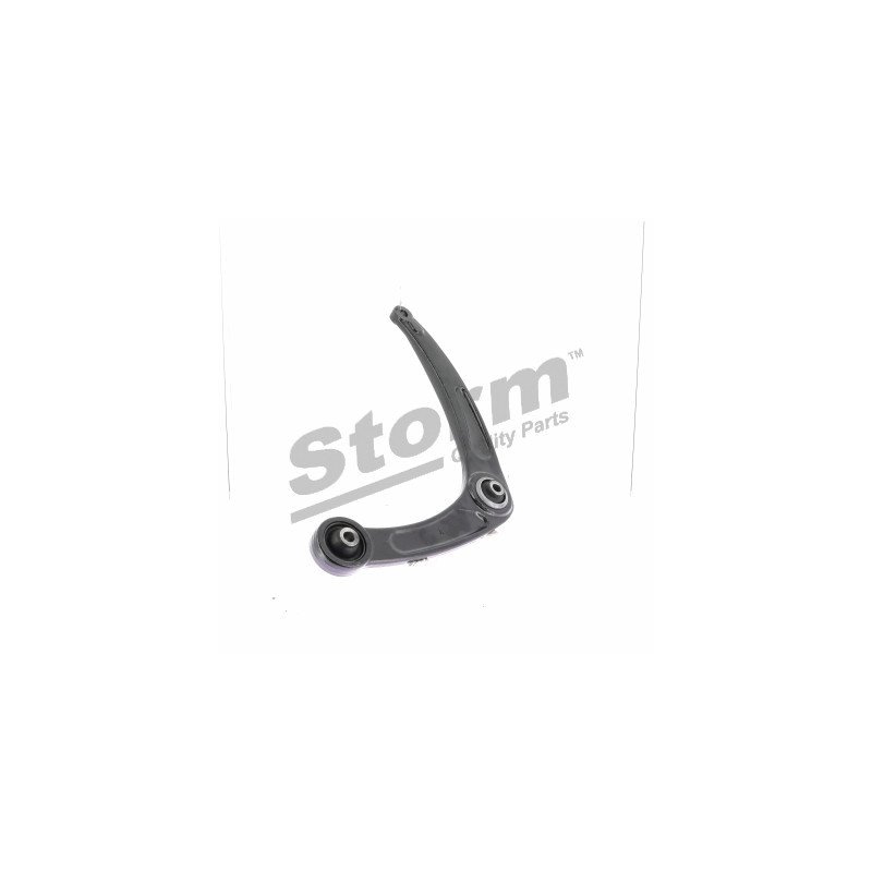 STORM QUALITY PARTS | 79751